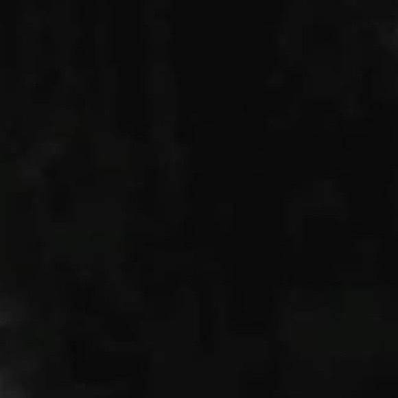 Title - Picture 1 of 1